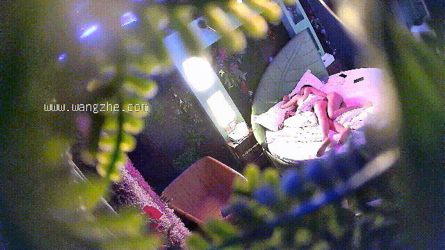 5.gif