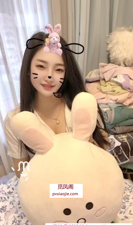 蜀山个人小野猫