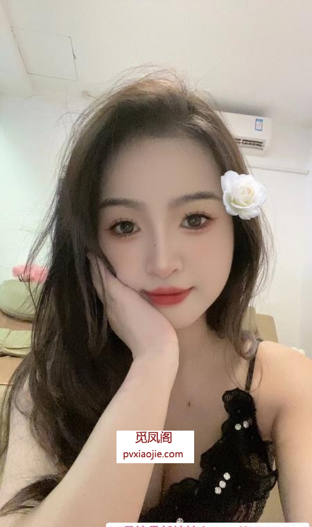 东莞依晨