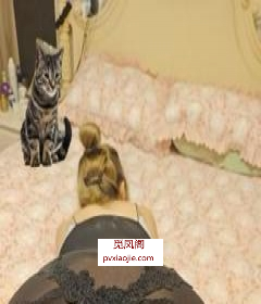 闵行微胖少妇小妞