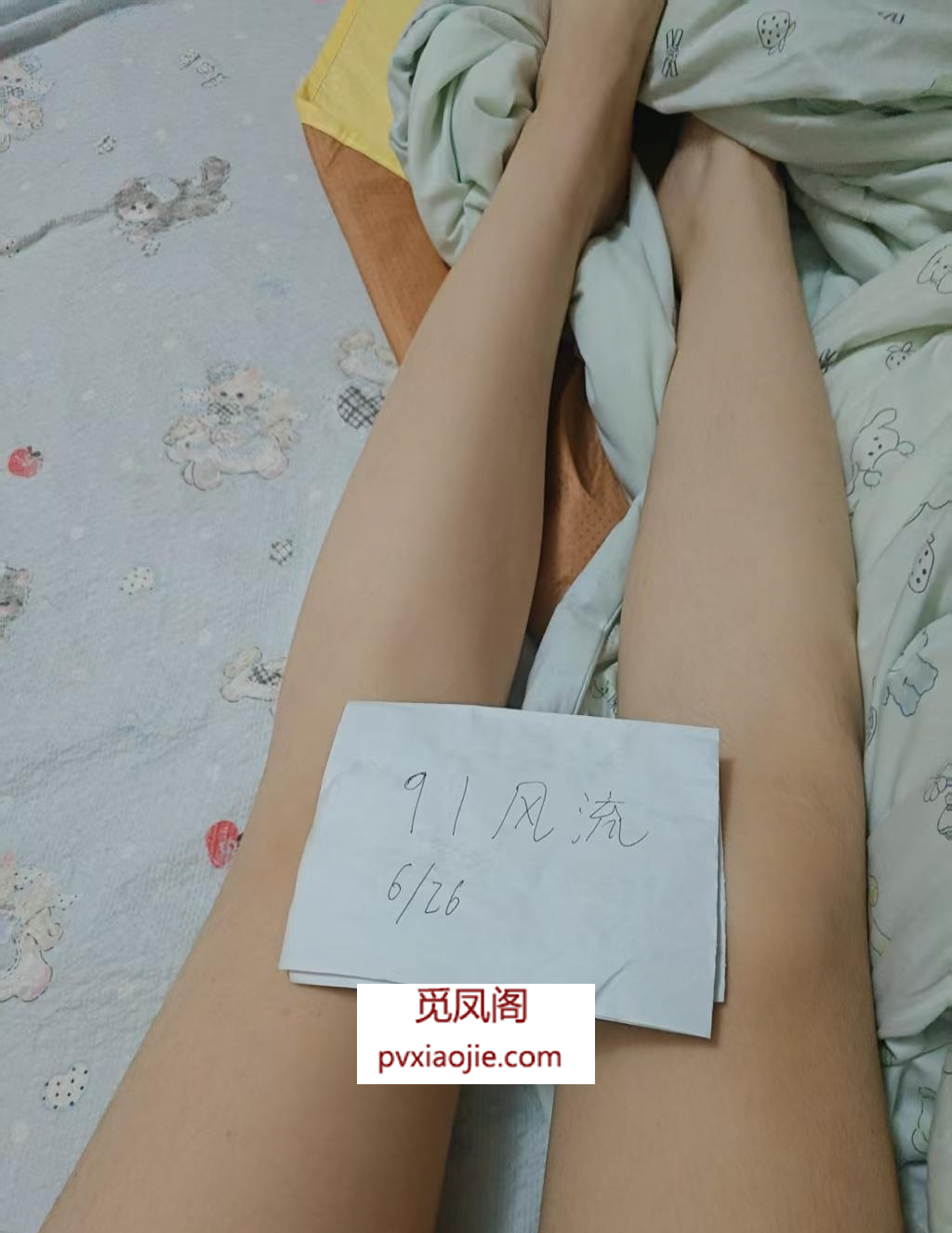 小鱼儿开课啦