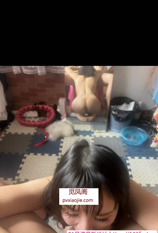 中华门小母狗