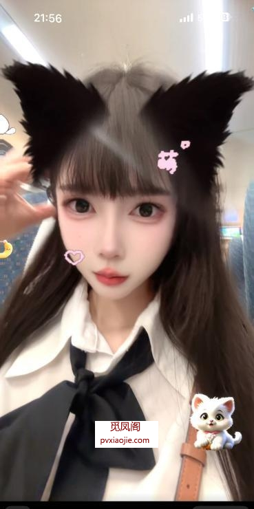 性感纯欲二次元