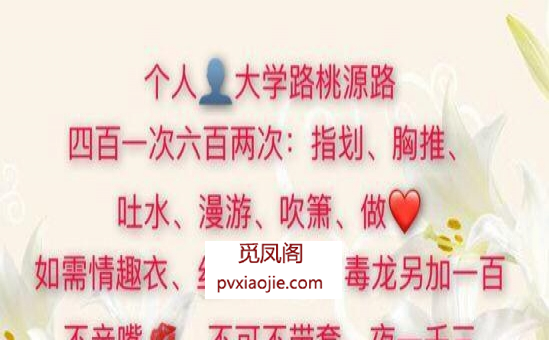 郑州市 万人斩的浪荡女